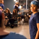 BWW Recap: GREY'S ANATOMY Offers Up a Heartbreaking Episode that Explores the…