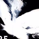 THE ECHO DRIFT Premieres Tomorrow