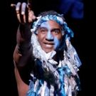 BWW Live Chats with ONCE ON THIS ISLAND's Norm Lewis and Tamyra Grey