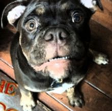 Road Theatre Company Presents World Premiere of THE RESCUED