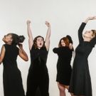 RedWit Theatre Presents IN THE NEXT ROOM (OR THE VIBRATOR PLAY)