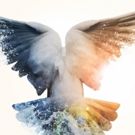 BWW Review: THE DISTANCE YOU HAVE COME, The Cockpit