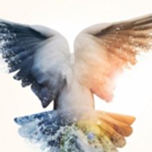 BWW Review: THE DISTANCE YOU HAVE COME, The Cockpit