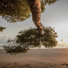 Zip, Craig Richards, Vera, Cap, Raresh, tINI, Joseph Capriati Added to UNUM Festival…