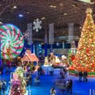 Navy Pier Announces Return of 'Fifth Third Bank Winter WonderFest'