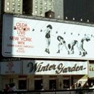 BWW Flashback: GILDA RADNER LIVE FROM NEW YORK Takes Over the Winter Garden Theatre in 1979