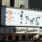 BWW Flashback: GILDA RADNER LIVE FROM NEW YORK Takes Over the Winter Garden Theatre…