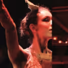 Flat Rock Playhouse Presents Annual Fundraiser DARK NAT REVUE