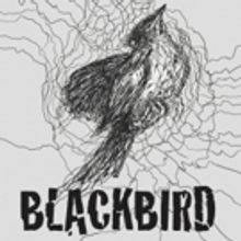 BWW Previews: JAKARTA PERFORMING ARTS COMMUNITY Commits to Fight Gender-Based Violenc