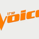 The First Round of Advancing Artists from the Premiere Episode of THE VOICE