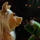 The Muppets Take Over A STAR IS BORN in Hilarious Parody