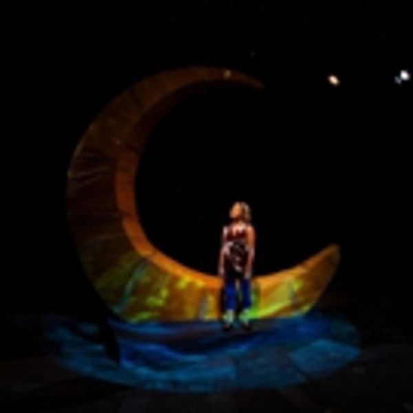 Hudson Stage to Perform a Staged Reading of NO SPRING CHICKEN Photo