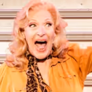 Review Roundup: Tony Sheldon Led PRISCILLA QUEEN OF THE DESERT Tour
