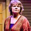 Photo Flash: Shattered Globe Theatre and Theater Wit Presents THE REALISTIC JONESES