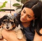 Tails of Broadway: Samantha Massell Cuddles Up with Bizet!