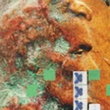 Scotiabank Contact Photography Festival Announces Full Program And Highlights For May