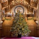 Casting Announced for A CHRISTMAS CAROL at Windsor Castle