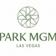 Lady Gaga Enigma Headlines Grand Opening Of New Las Vegas Resort, Park MGM