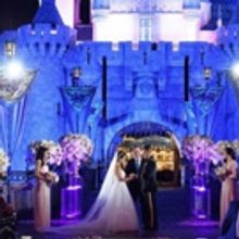 Freeform Orders Additional Episodes of DISNEY'S FAIRY TALE WEDDINGS, Premiering 2018