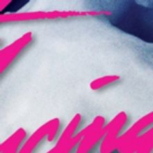BWW Review: DIRTY DANCING at The Playhouse