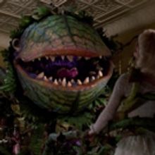 Why LITTLE SHOP OF HORRORS is Your Halloween Must-See