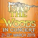 New Theatre Company Bloom Creative Productions Presents INTO THE WOODS IN CONCERT