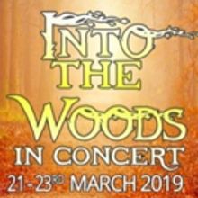 New Theatre Company Bloom Creative Productions Presents INTO THE WOODS IN CONCERT