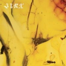 Crumb Announce Debut LP JINX, Watch Video For Lead Single NINA