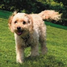 BWW Review: THE GOOD LUCK SISTER at Jill Shalvis + Excerpt!