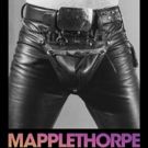 The Guggenheim to Present MAPPLETHORPE Exhibit