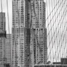 South Street Seaport Museum Announces In The Shadow Of Genius A Book Talk With…