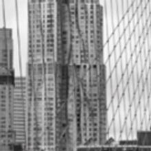 South Street Seaport Museum Announces In The Shadow Of Genius A Book Talk With…