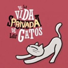 ¿Conoces los detalles De la vida privada de los gatos?