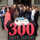 Photo: Cast of GREY'S ANATOMY Celebrates 300th Episode