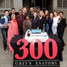 Photo: Cast of GREY'S ANATOMY Celebrates 300th Episode
