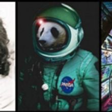 Bridge Street Theatre Announces its 2018 Season