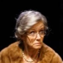 BWW Review: Stellar Revival of DRIVING MISS DAISY at the Colony Theatre