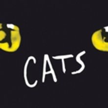 Laurie Davidson Joins the Film Adaptation of CATS
