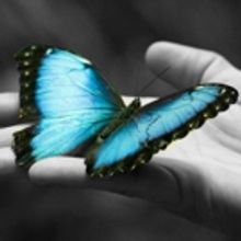 BWW REVIEW: That Struggle For Signs Of Love And Humanity In A Dark Dystopian Future D