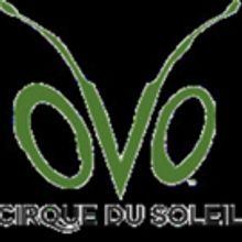 CIRQUE DU SOLEIL'S OVO Announces UK Arena Tour