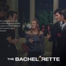 THE BACHELOR Heads to Tubi as Part of a Content Deal with Warner Bros. Domestic…