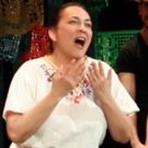 BWW Review: LA PALOMA AT THE WALL at InSeries At GALA