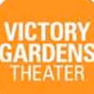 Victory Gardens Awarded David Rockefeller Fund Grant For New Public Programs…