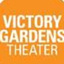 Victory Gardens Awarded David Rockefeller Fund Grant For New Public Programs Initiati