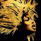 Book Now To Get Simply The Best Seats For Tina Turner Musical TINA