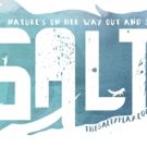 Cast Announced For Industry Reading Of SALTY