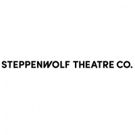 Steppenwolf's Professional Leadership Fellows Present CRAFTING A COHORT