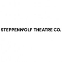 Steppenwolf's Professional Leadership Fellows Present CRAFTING A COHORT