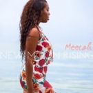 Pop-Soul Recording Artist Meecah Releases New Single 'Dream' ft. Slim Pudge