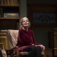 BWW Review: LADY IN DENMARK at Goodman Theatre